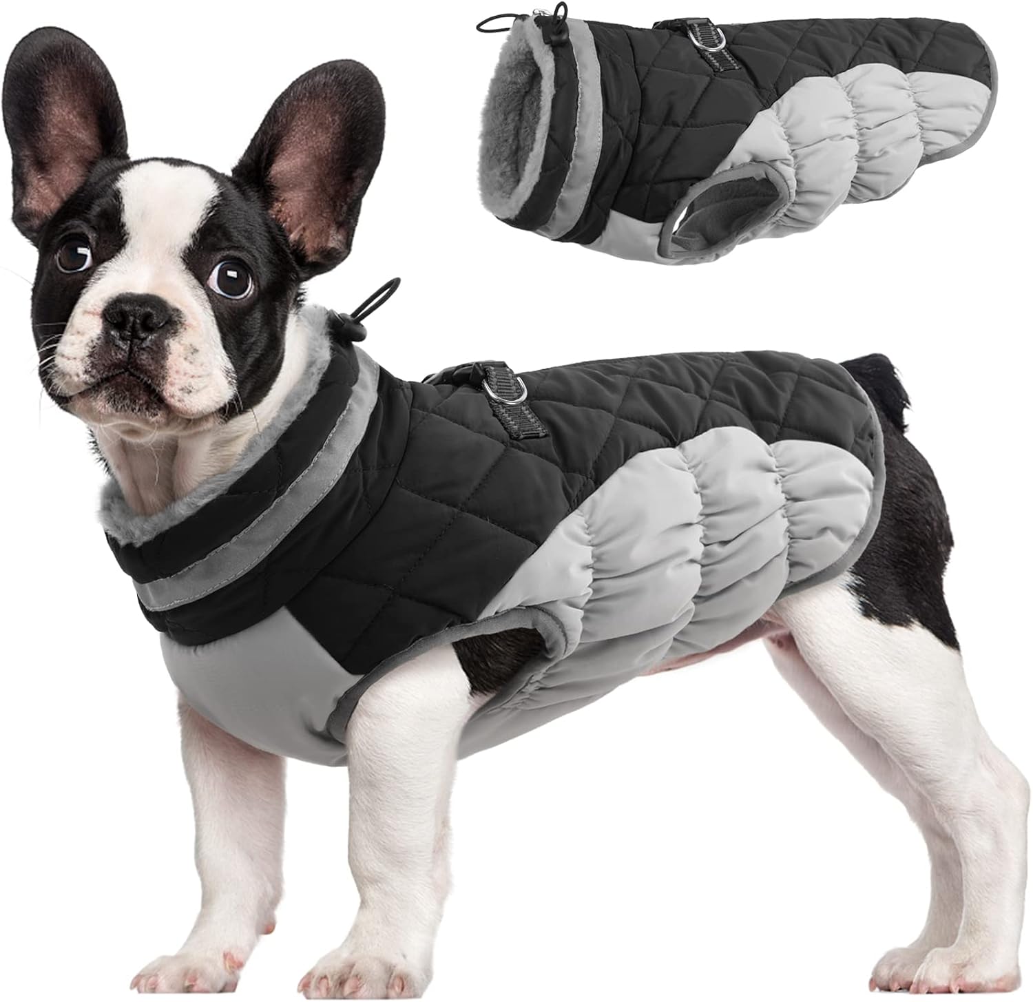 FUAMEY Dog Coat for Small Dogs, Fleece Dog Winter Jacket with Harness