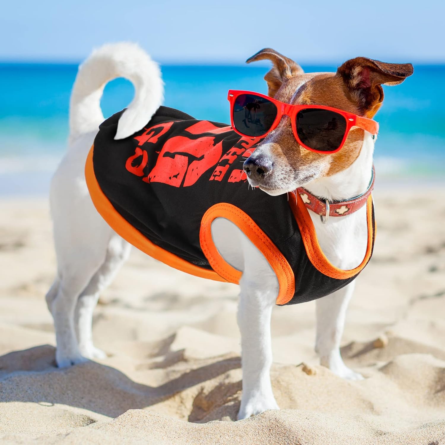Saintrygo 8 Pcs Dog T-Shirts Printed Funny, Cute Pattern, Large