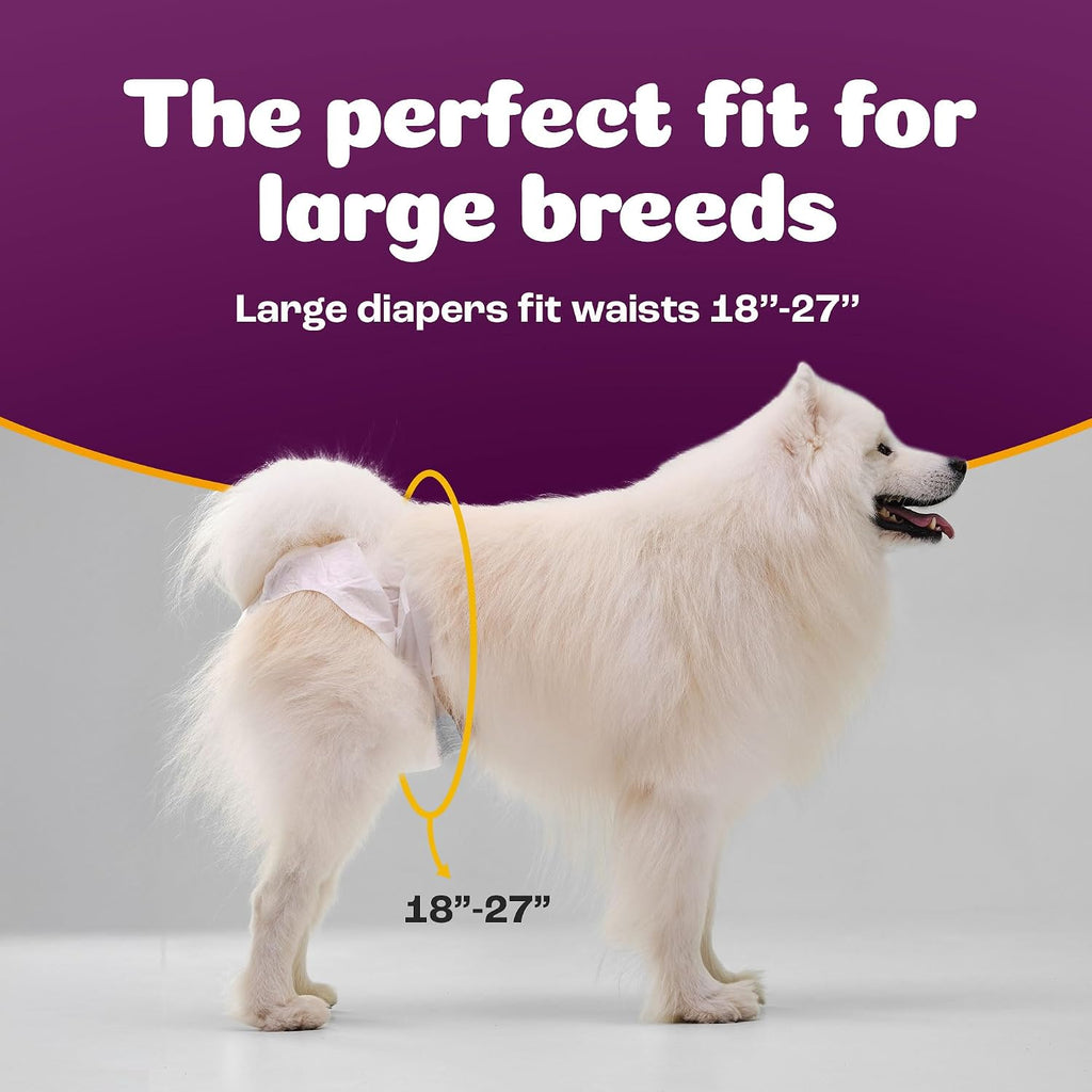 Inspire Pet Care Dog Diapers Female Dogs | Bulk Value Doggie Incontinence