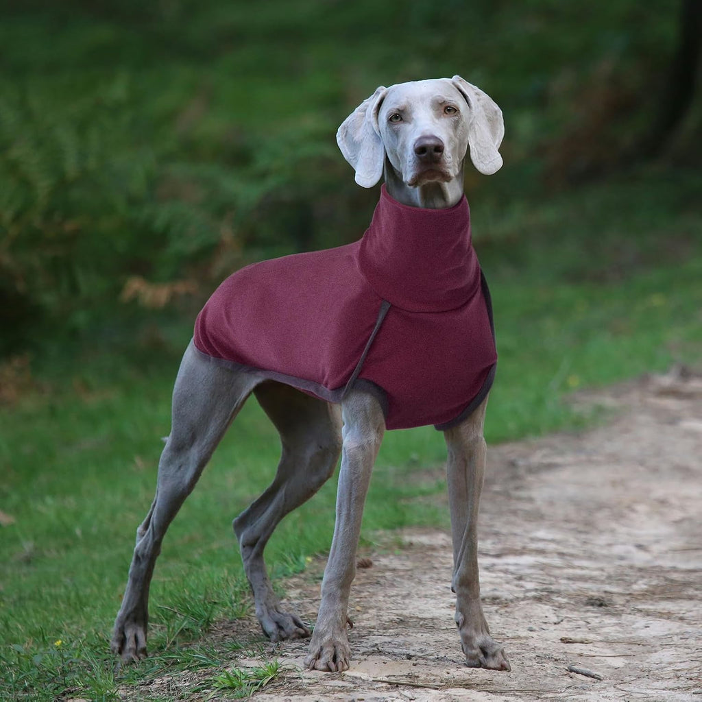 ROZKITCH Dog Sweater S, Warm Turtleneck Shirt for Medium Dogs