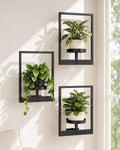 Bamworld Hanging Planters for Indoor Plants Wall Decor Living Room