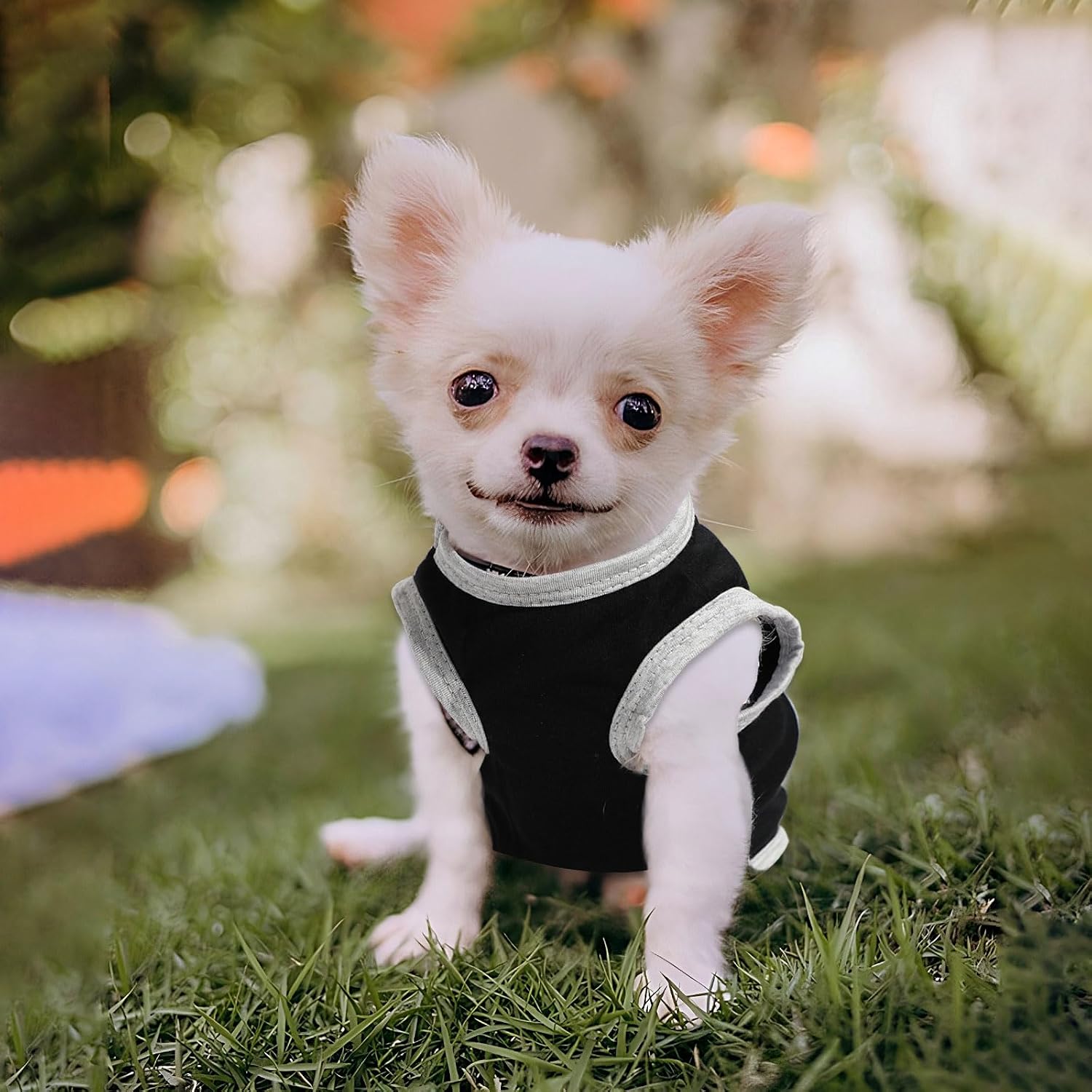 4 Pieces Puppy Clothes Boy Summer Dog Shirts for Small Dogs Chihuahua Yorkie Clothes Soft Cute Pattern Pet Cat Clothing Pink Grey Red Green XXS~M (X-Small)