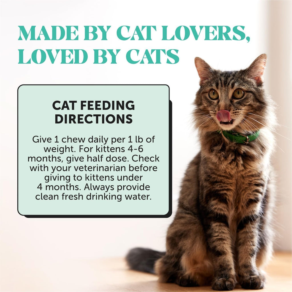 Pet Honesty Vet Approved Cat Teeth Cleaning Bites for Fresh Breath, 30 Day