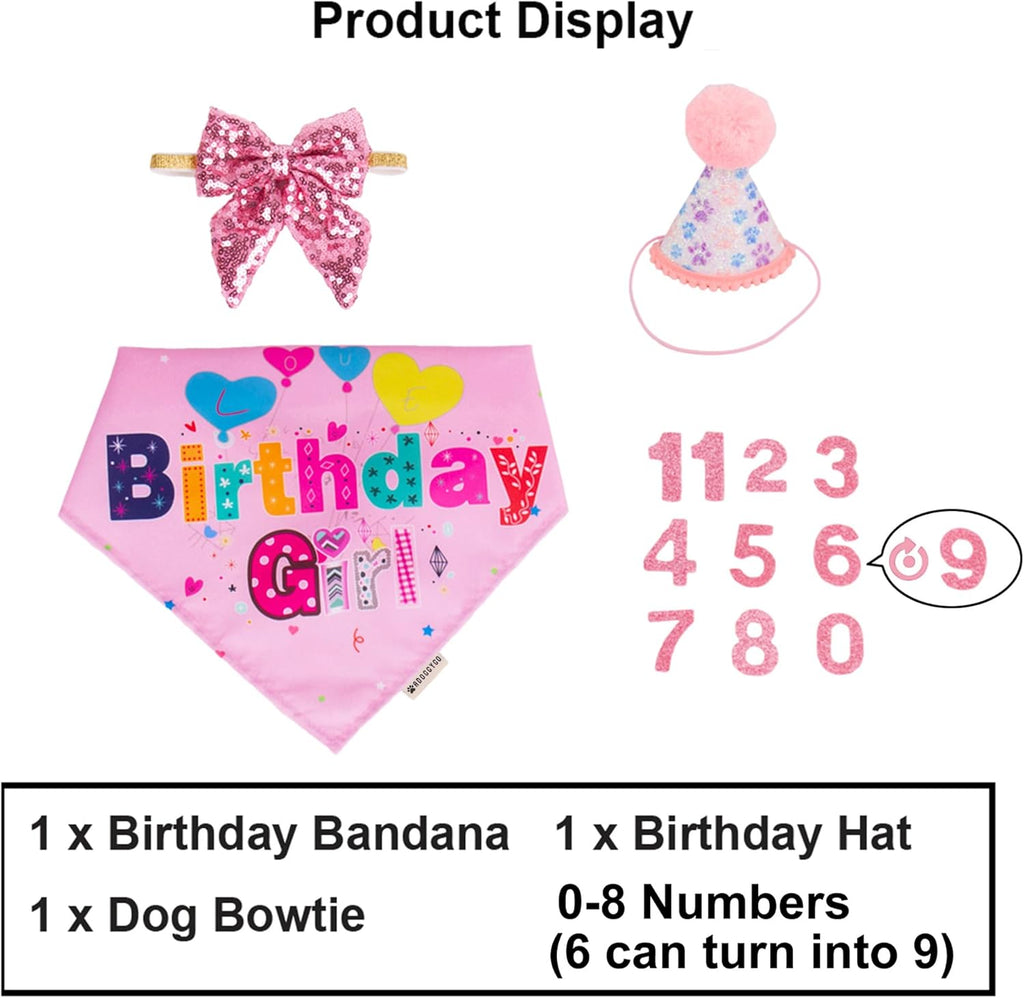 ADOGGYGO Dog Birthday Hat, Pink Birthday Girl Bandana Set, Small
