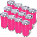 20oz Tumbler with Lid Stainless Steel Tumblers Insulated Mug Hot Pink 12P