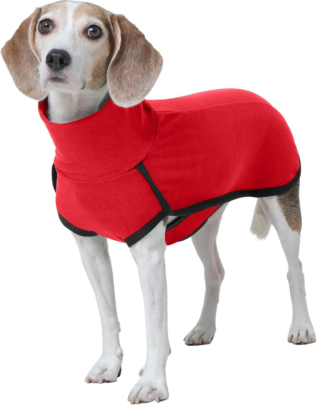 ROZKITCH Dog Sweater S, Warm Turtleneck Shirt for Medium Dogs
