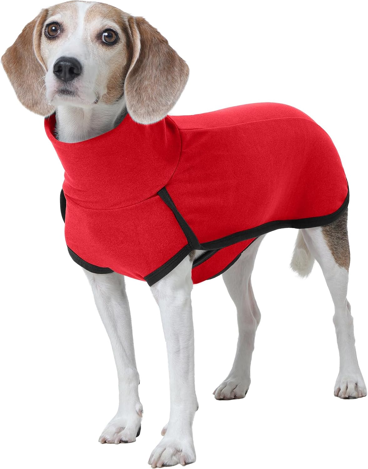 ROZKITCH Dog Sweater S, Warm Turtleneck Shirt for Medium Dogs