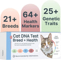 Basepaws Cat DNA Test Kit, Breed, Health & Dental Insights, 114 DNA Traits