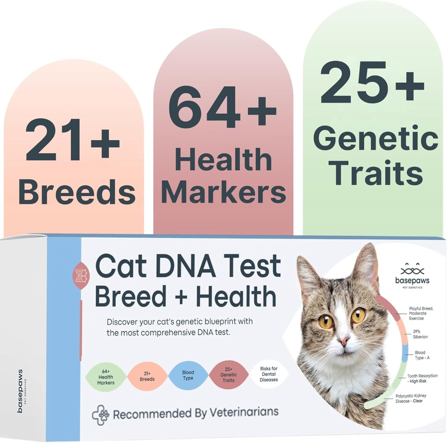 Basepaws Cat DNA Test Kit, Breed, Health & Dental Insights, 114 DNA Traits