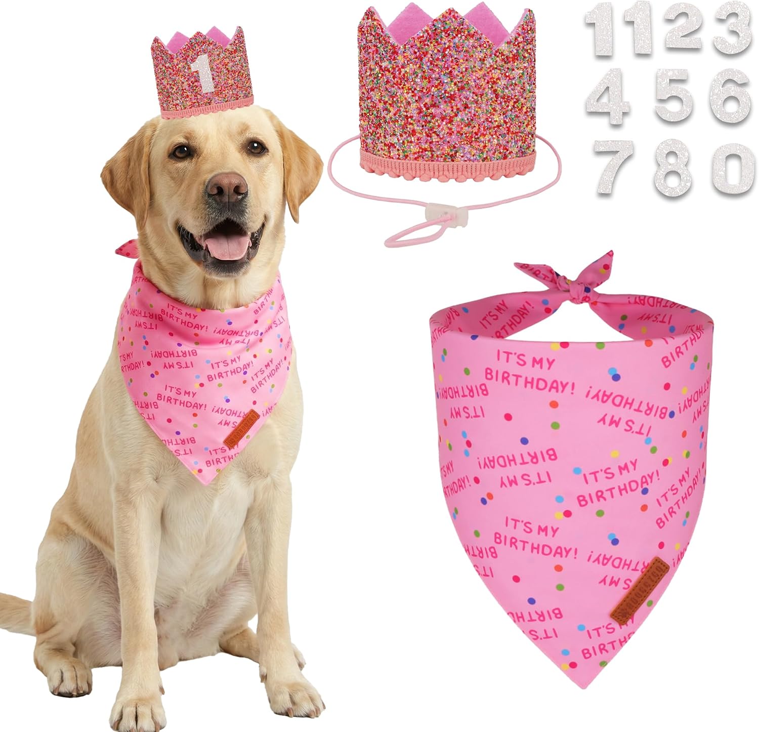 ADOGGYGO Girl Dog Birthday Hat, It's My Birthday Bandana Set, Pink, Small