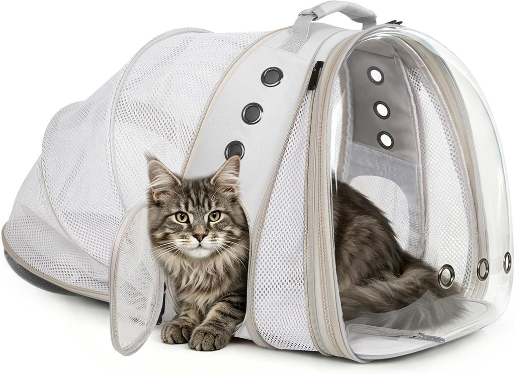 Dual Expandable Backpack for Large Cat
