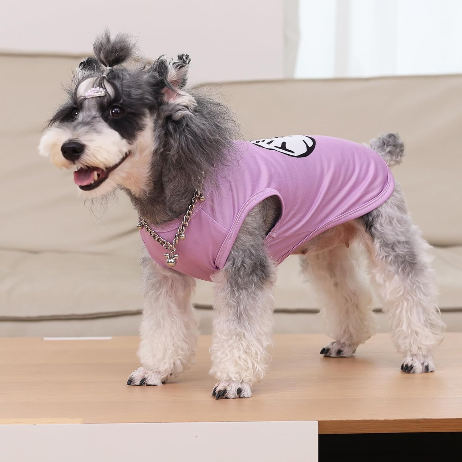 CuteBone Dog Shirts 2-Pack Soft Pet Clothes Breathable Summer Vest for Small Puppy and Stretchy Cat Apparel