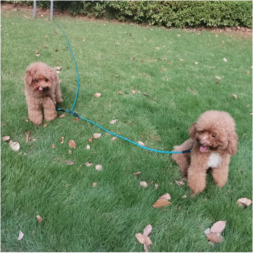 BTINESFUL 12FT 20FT 30FT 50FT Reflective Dog Tie Out for 2 Dogs, No Tangle 1/3 Inch Nylon Rope Long Tether for Two Dogs, Dog Trolley Runner for Yard Outdoor Camping (30ft x 1/3", Blue)