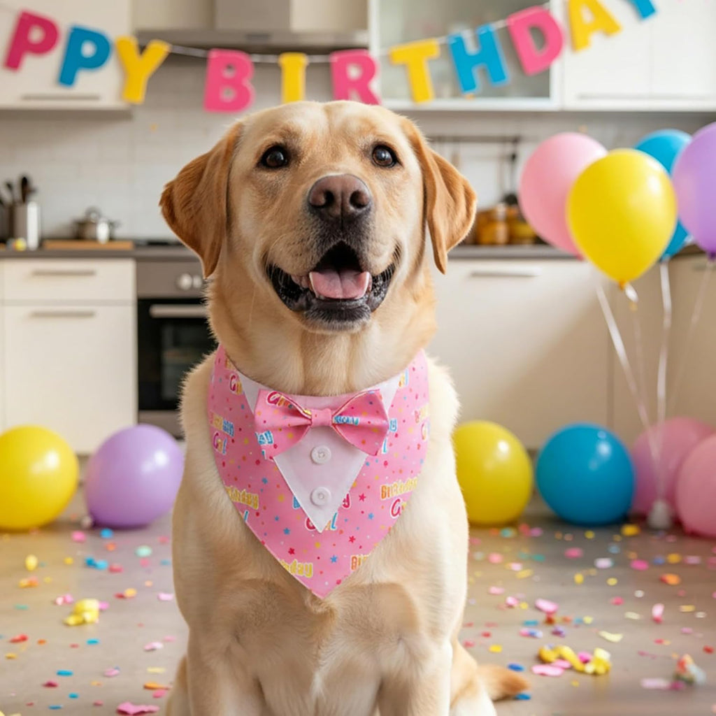 ADOGGYGO Birthday Dog Bandana with Bowtie, Pink Girl Dog Tuxedo, Large
