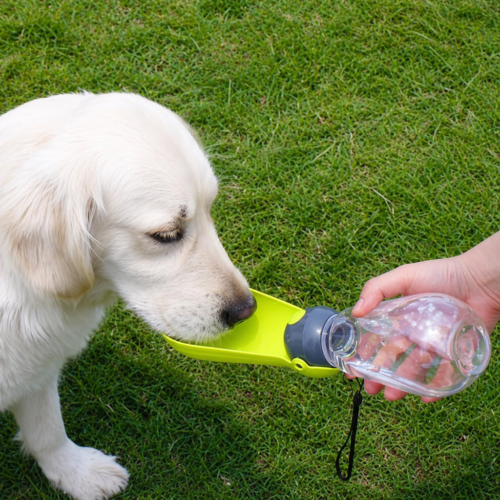 H&H Pets Portable Dog Water Bottle for Walking – Foldable Travel Pet Water Dispenser & Leak-Proof Drinking Bowl for Puppies, Medium, Large Dogs, and Small Animals, 13.5 oz