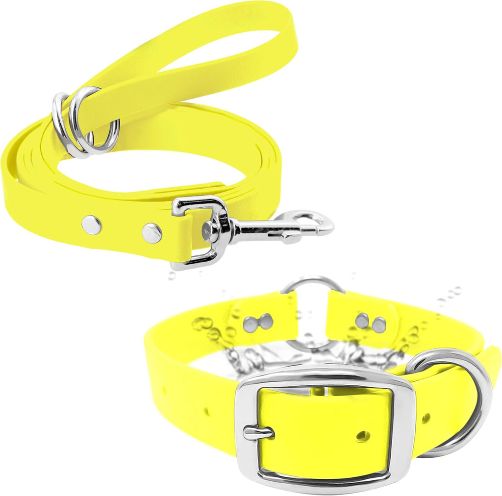 Regal Dog Products Waterproof Dog Collar, Nickel, Small Yellow & Leash