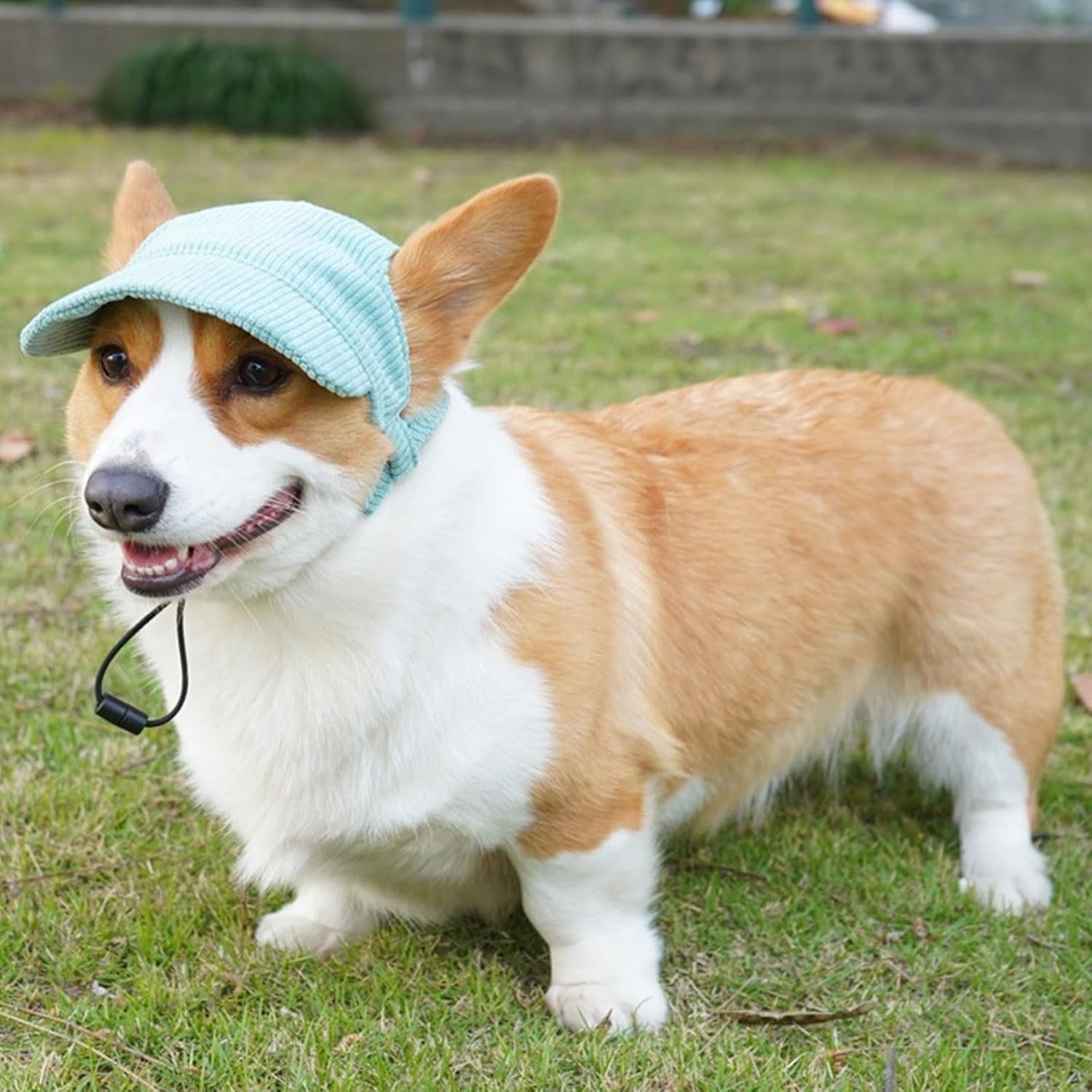 Dog Baseball Cap, Dog Cat Summer Beach Visor Hat with Ear Holes, Adjustable Puppy Sunbonnet Headdress (Green, X-Large)