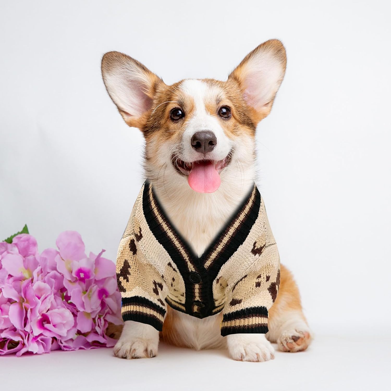 Small Dog Sweaters Cute Bear Knitted Dog Cardigans Clothes for Small Medium Dogs Soft Pet Puppy Cat Knitting Outfits Fall Winter Warm Boy Girl Dogs Knitwear Coat Apparel(Beige, X-Small)