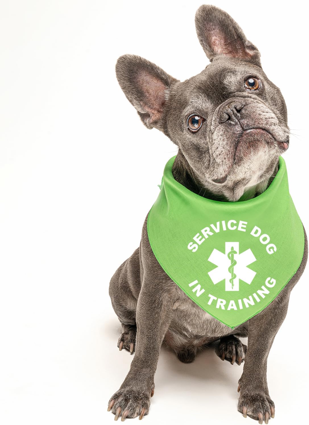 Service Dog in Training Dog Bandana | 100% Cotton Tie Dye Triangle |Service Dog | Working Animal | Assistance | One Size | Black Scrunch (289)