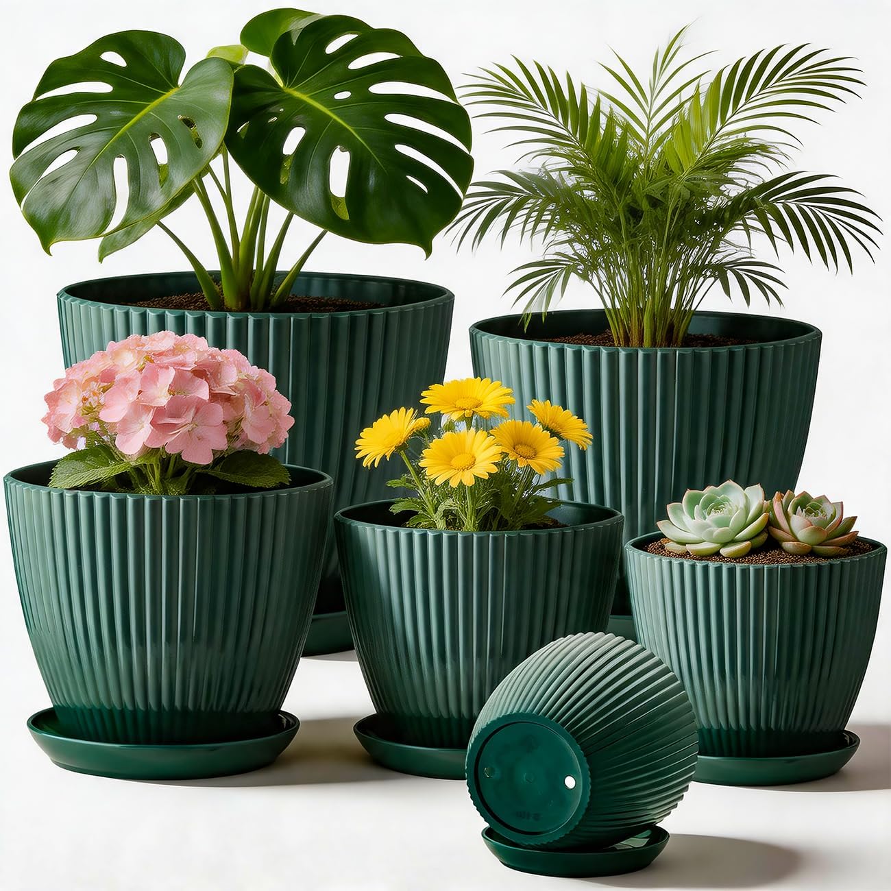 RooTrimmer Multi Size Plastic Pots 6 Pack, Drain Holes, Saucers, Dark Green