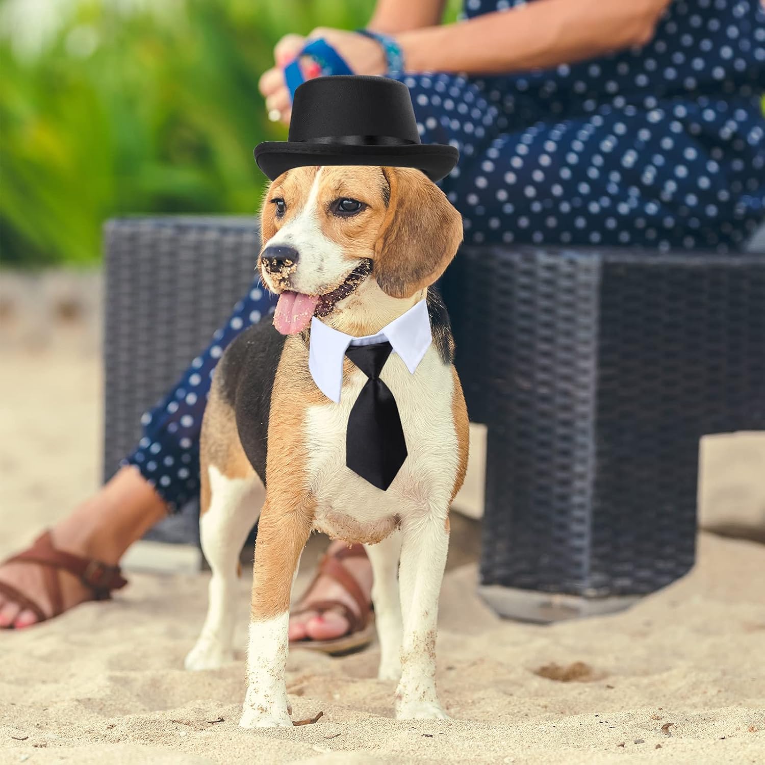 Yewong 2-Piece Pet Formal Accessories Set - Top Hat with Formal Necktie/Bowtie for Dog & Cat - Birthday Party, Graduation, Halloween Costumes