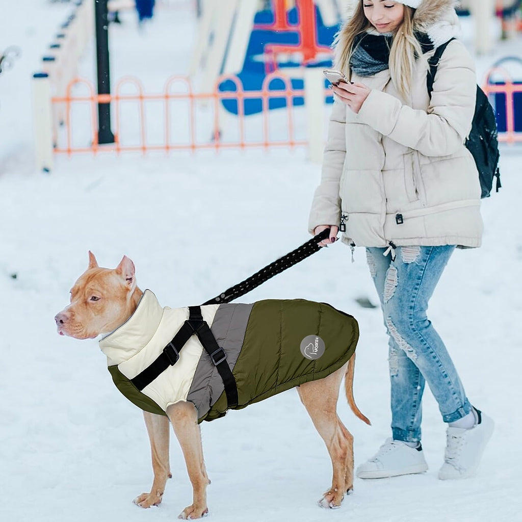 Warm Dog Winter Coat,Waterproof Dog Jacket with Built-in Harnes (Green, L)