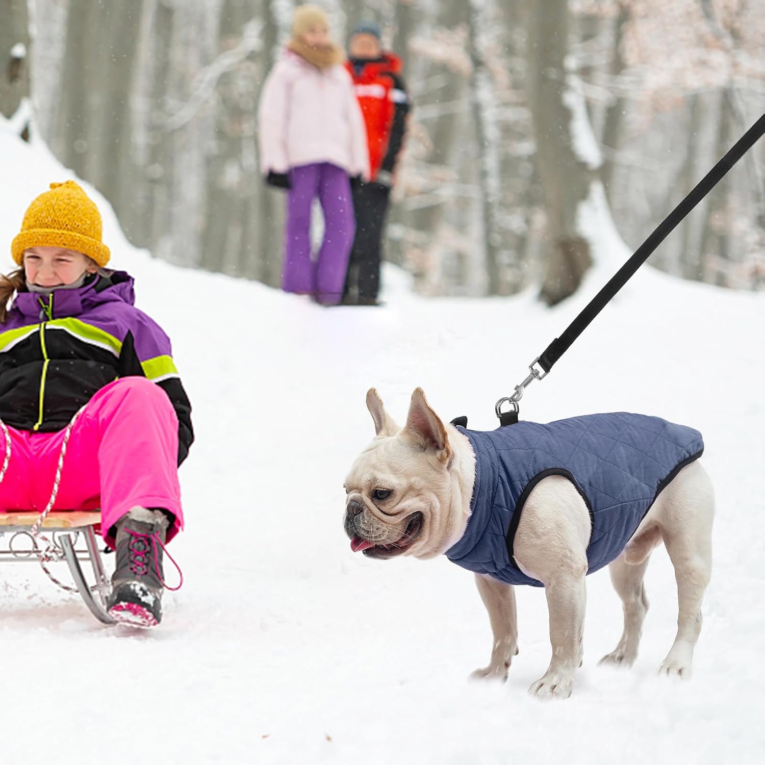 SCENEREAL Winter Dog Vest Coat with Built-in Harness