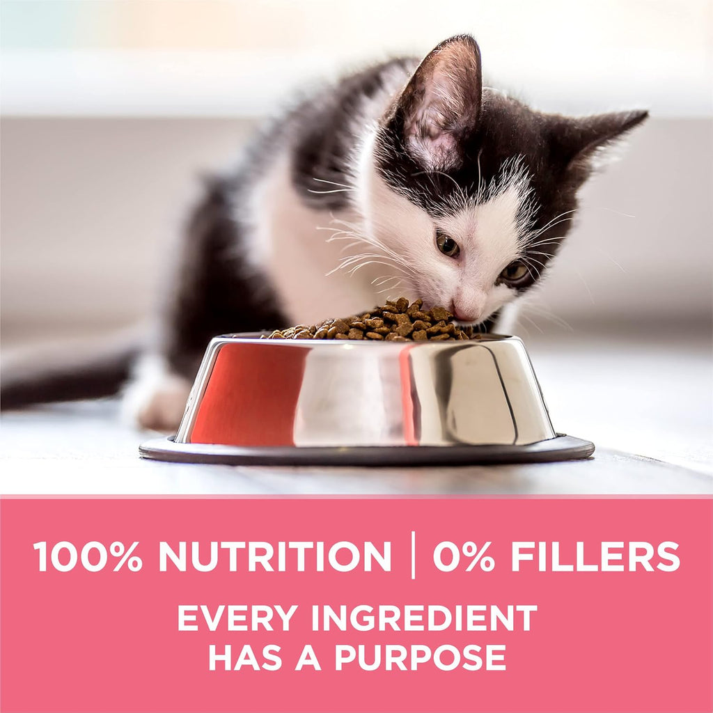 Purina ONE High Protein Natural Kitten Dry Cat Food, 3.5 lb Bag