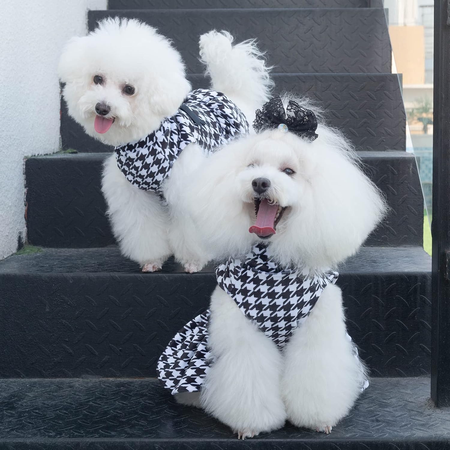 CuteBone Turtleneck Dog Velvet Dress Puppy Skirt Costume Pet Clothes Cat Apparel with Bow Hair Rope for Small Dogs CVD04S