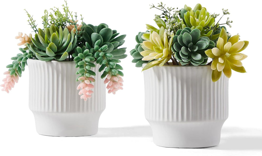 Artificial Succulent Plants in Ceramic Pots Set of 3