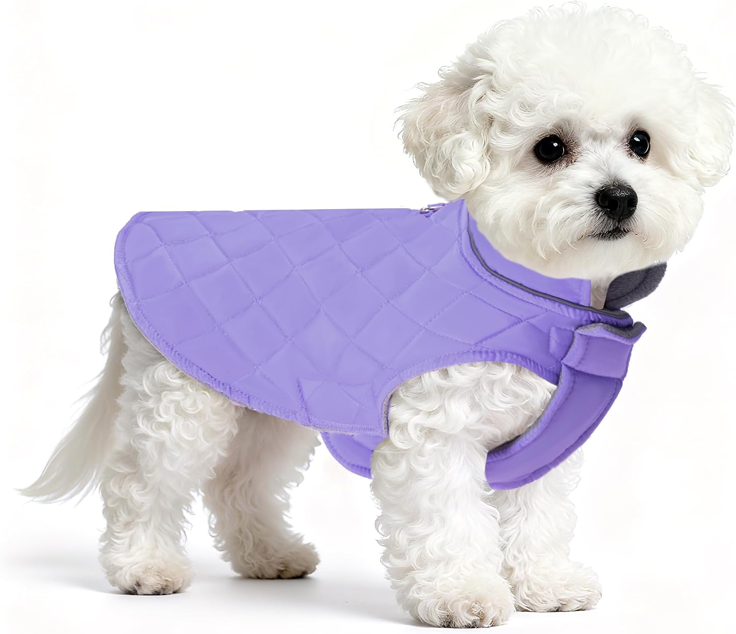 Mile High Life Dog Warm Coat, Small Dog Winter Jacket Windproof Water Resistant Cold Weather Coats Cozy Snow Jacket Vest for Puppies (Purple, Medium Chest 17.3")