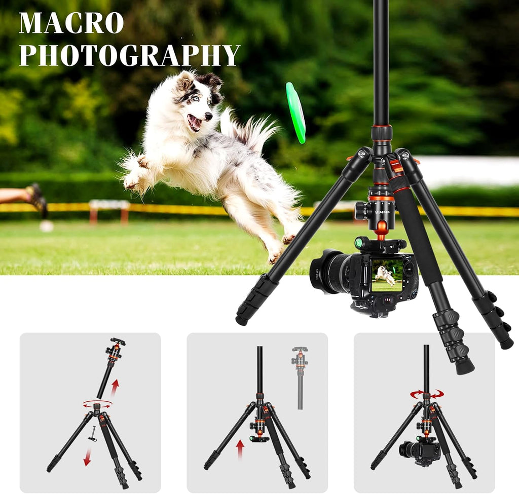 2 in 1 Camera Tripod & Hunting Stand Foldable, 68" Ball Head Tripod for Camera and Phone, Heavy Duty Tripod for DSLR Camera Lasers Binoculars Telescope Spotting Scope, Min Size 16.5" with Bag