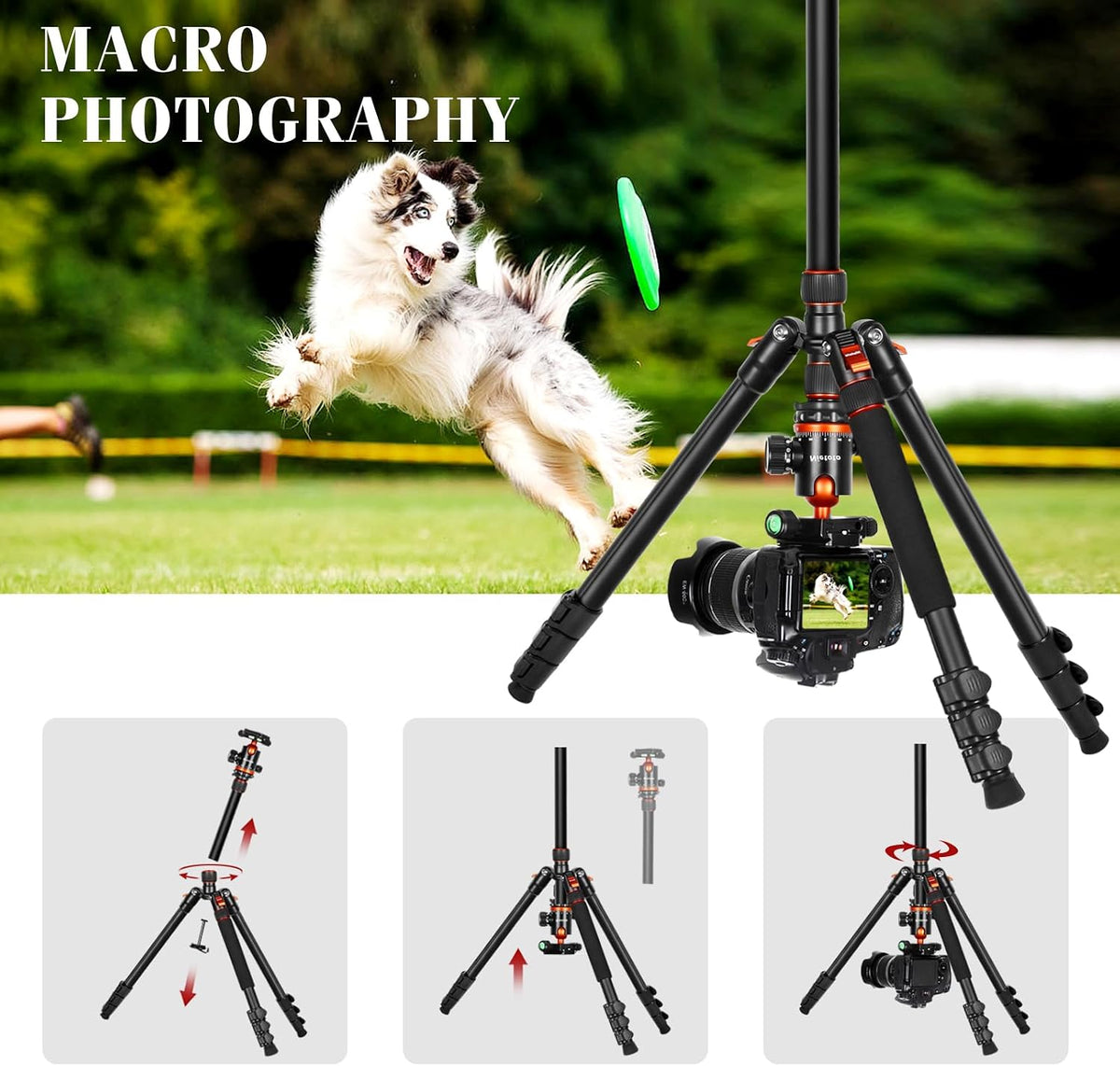 2 in 1 Camera Tripod & Hunting Stand Foldable, 68" Ball Head Tripod for Camera and Phone, Heavy Duty Tripod for DSLR Camera Lasers Binoculars Telescope Spotting Scope, Min Size 16.5" with Bag