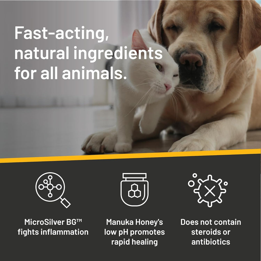 Silver Honey Rapid Ear Care Vet Strength Pet Wipes, 50ct, Manuka Honey &amp; MicroSilver BG