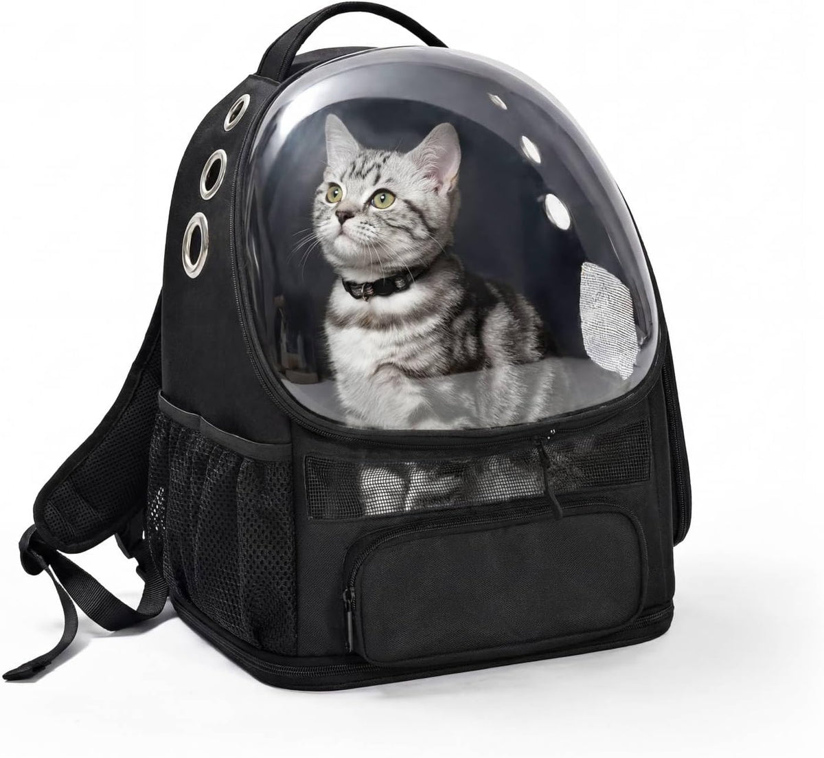 Amazon Basics Pet Backpack for Cats & Small Dogs, Collapsible Travel Carrier with Ventilated Mesh, Removable Pad, and Safety Leash, Black