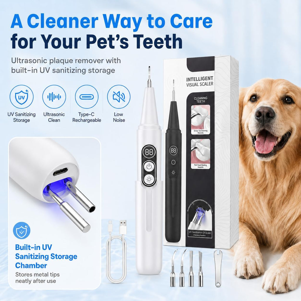 Dog Plaque Remover kit,with UV Sanitizing Chamber,6 Modes,Waterproof | Stores & Sanitizes Metal Tips After Use,6 Cleaning Modes for Different Needs,dog teeth cleaning,plaque remover for teeth