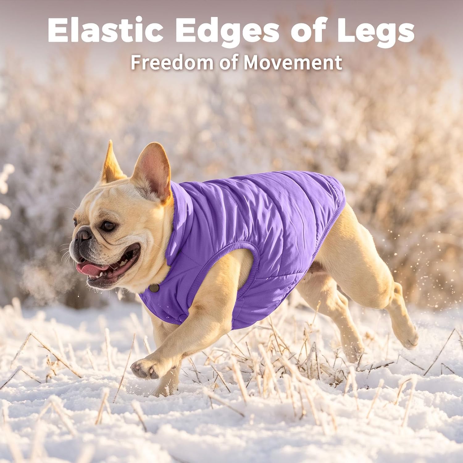 JoyDaog Fleece Lined Dog Jacket for Small Dogs,Winter Dog Coat,Purple M