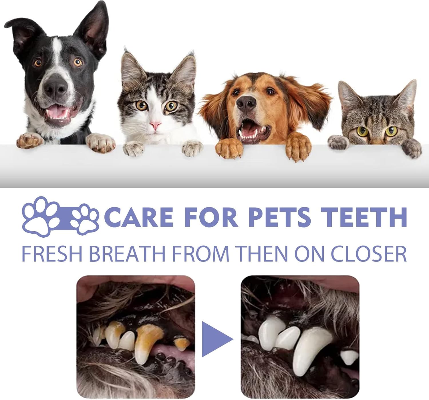 JoanofArc Teeth Cleaning Spray for Pets, Peppermint Freshen Oral Spray, Bad Breath & Tartar Plaque Support, Help Reduce Plaque & Tartar, No Brushing, Oral Care Cleaner, 1.01 fl oz