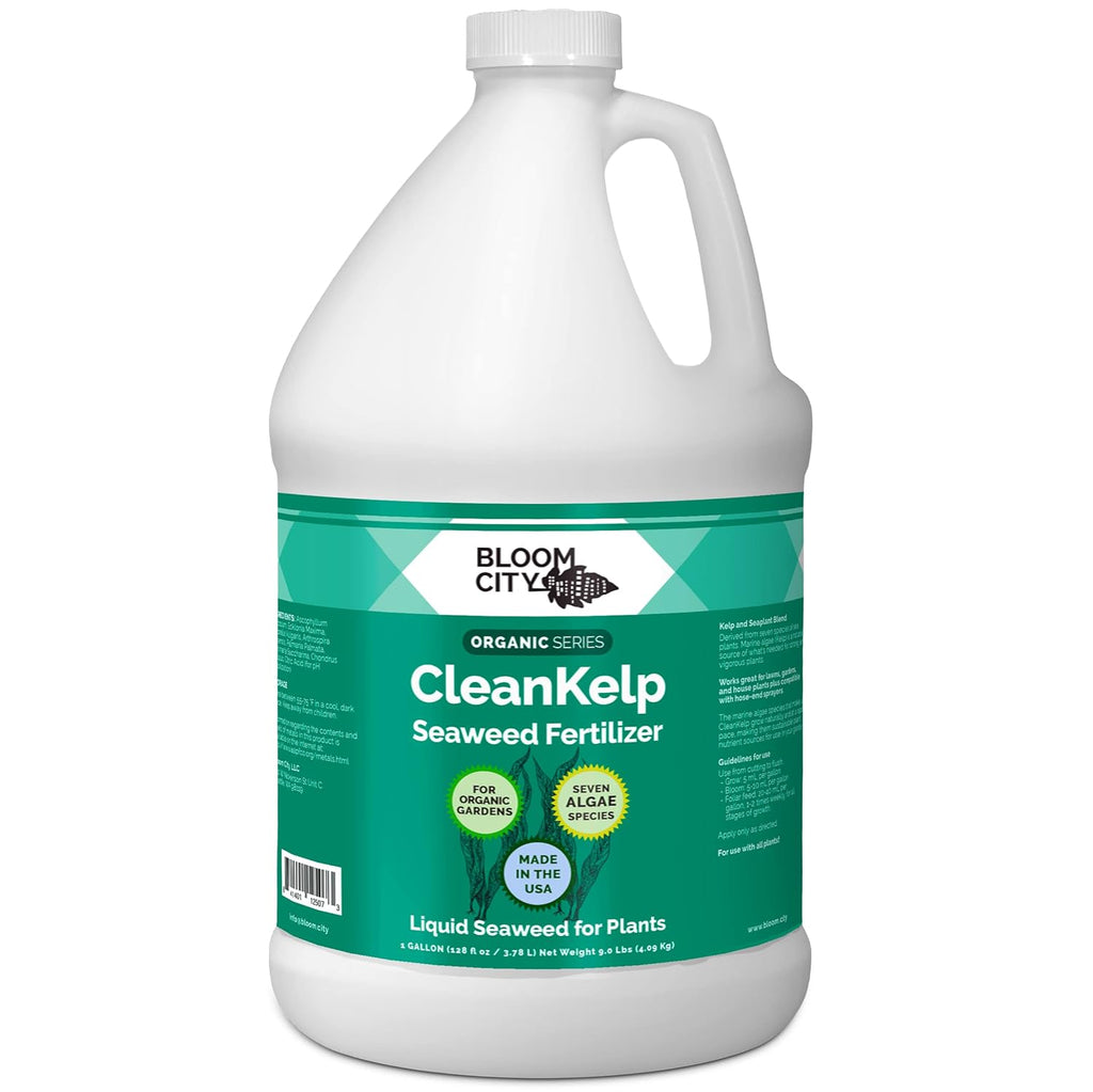Bloom City Seaweed and Kelp Liquid Fertilizer for Plants, 32 oz