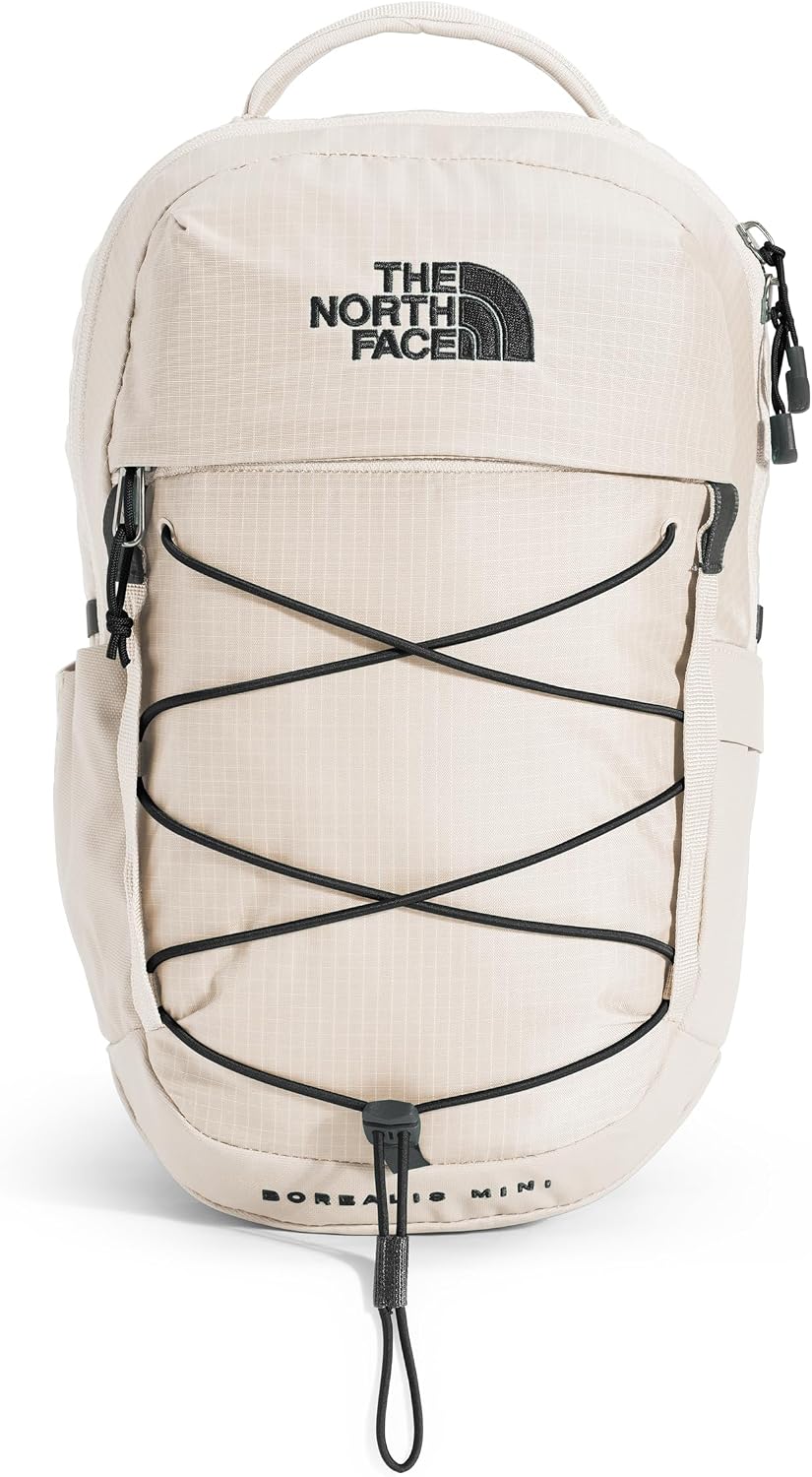 The North Face Borealis Mini Backpack, Pale Teal, One Size