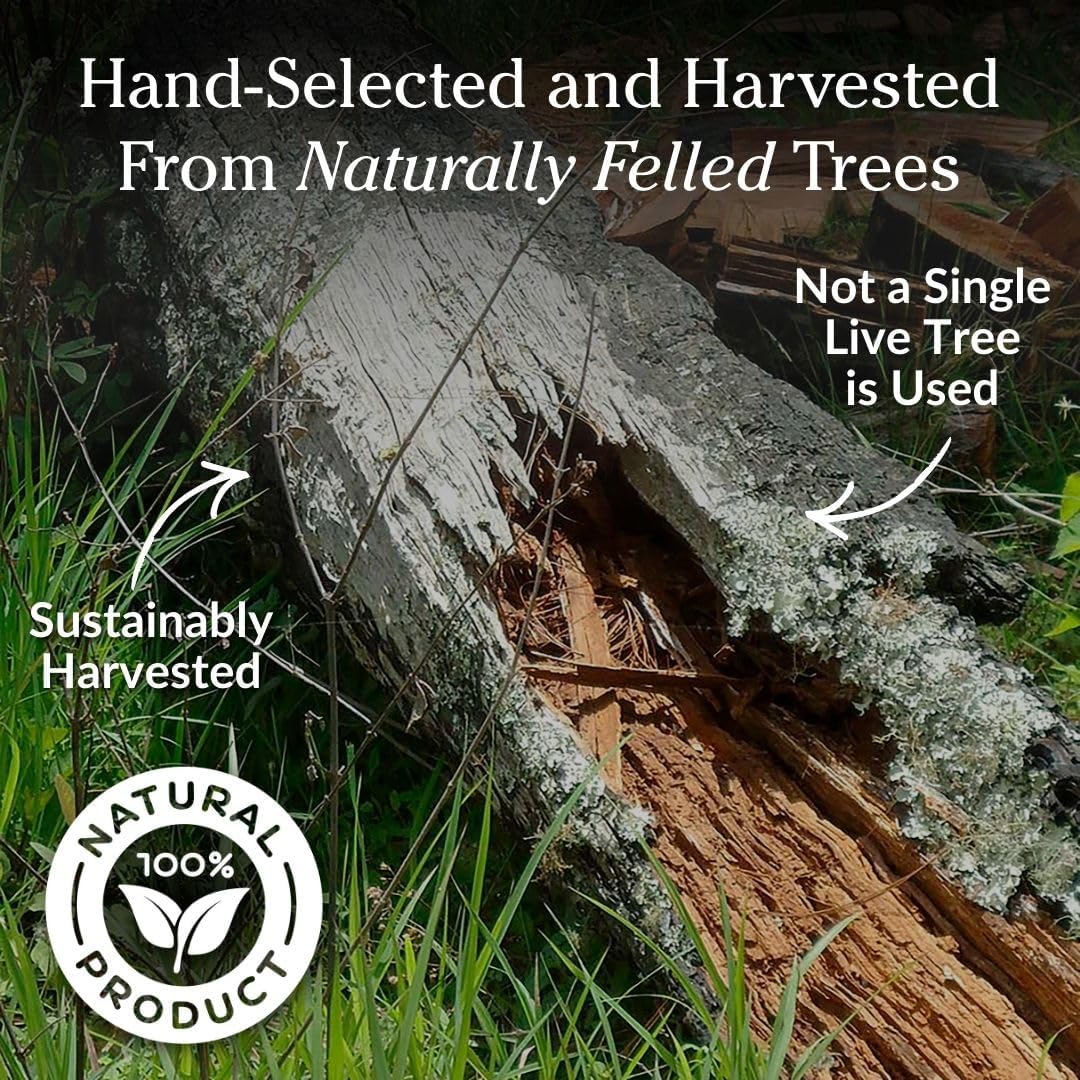 Plow & Hearth 2 LBS Fatwood Fire Starter Sticks Organic Kindling, Easy Ignition Fat Wood, All Natural Firestarters for Fire Pit, Wood Stoves, Fireplaces, Campfires, Bonfires, BBQ