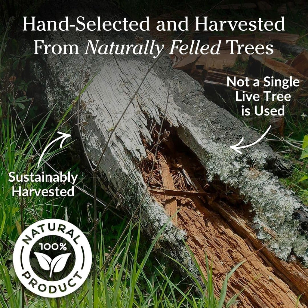 Plow & Hearth 10 LBS Fatwood Fire Starter Sticks Organic Kindling, Easy Ignition Fat Wood, All Natural Firestarters for Fire Pit, Wood Stoves, Fireplaces, Campfires, Bonfires, BBQ