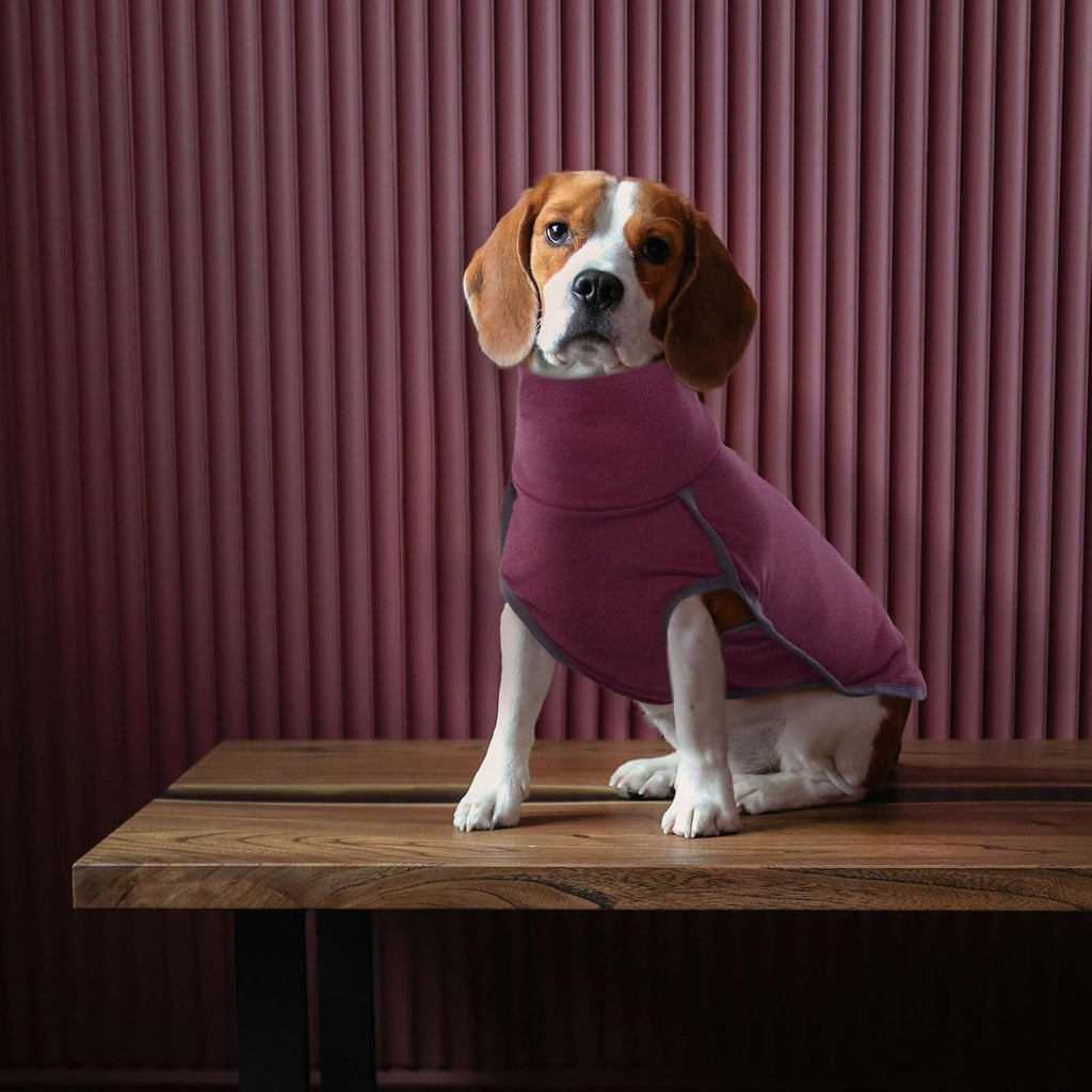 ROZKITCH Dog Sweater S, Warm Turtleneck Shirt for Medium Dogs