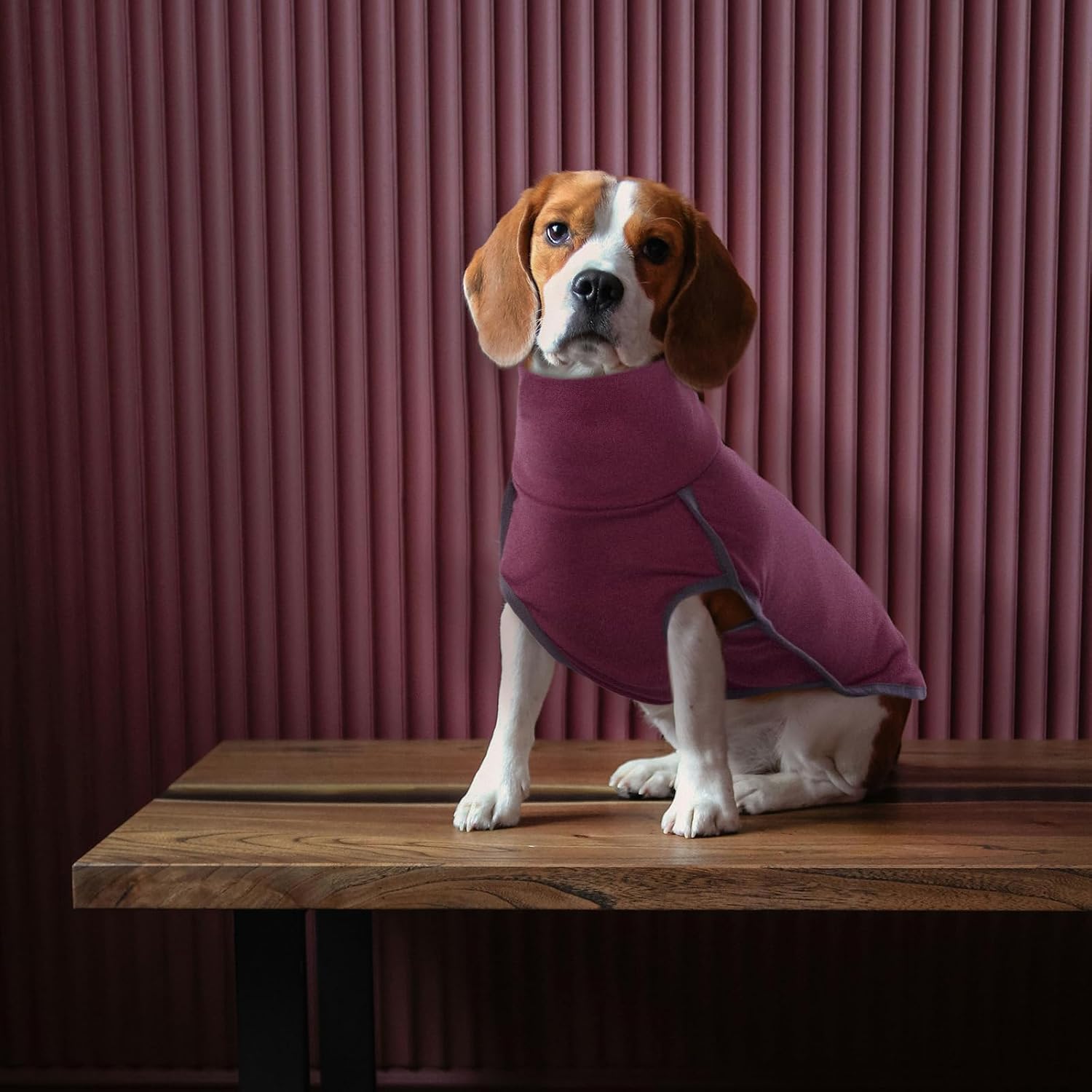 ROZKITCH Dog Sweater S, Warm Turtleneck Shirt for Medium Dogs