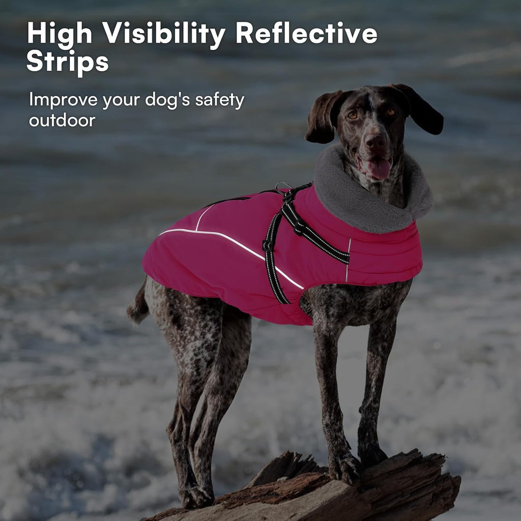 Queenmore Small Dog Coat, Dog Coat for Small Dogs with Harness Built in