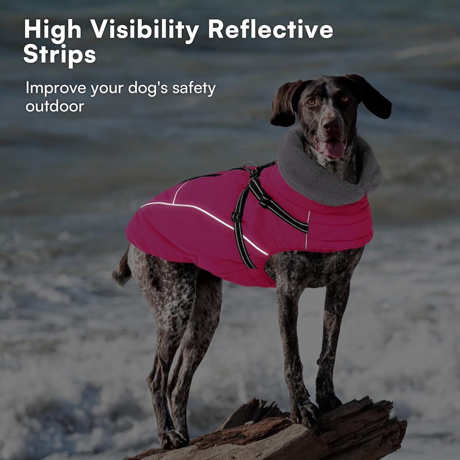 Queenmore Small Dog Coat, Dog Coat for Small Dogs with Harness Built in