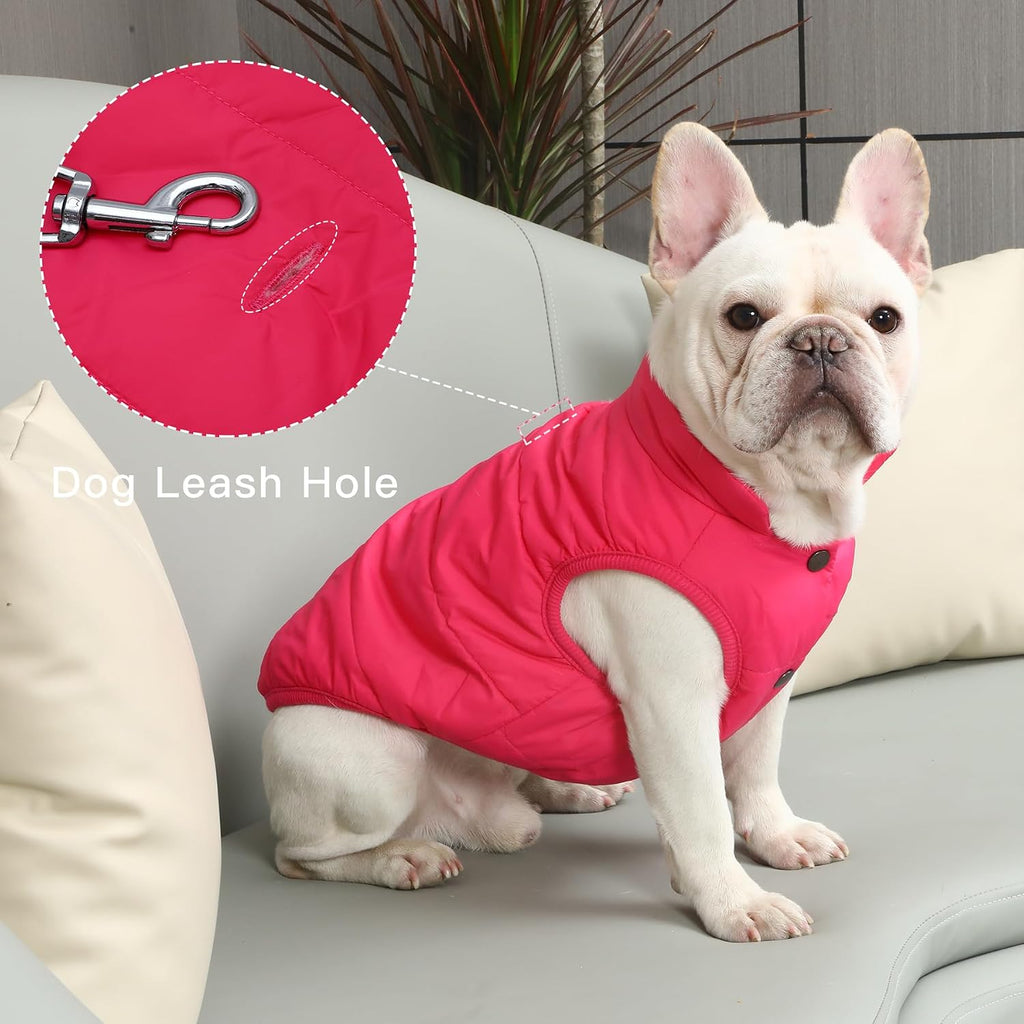 JoyDaog Fleece Lined Dog Jacket for Small Dogs,Winter Dog Coat,Pink M