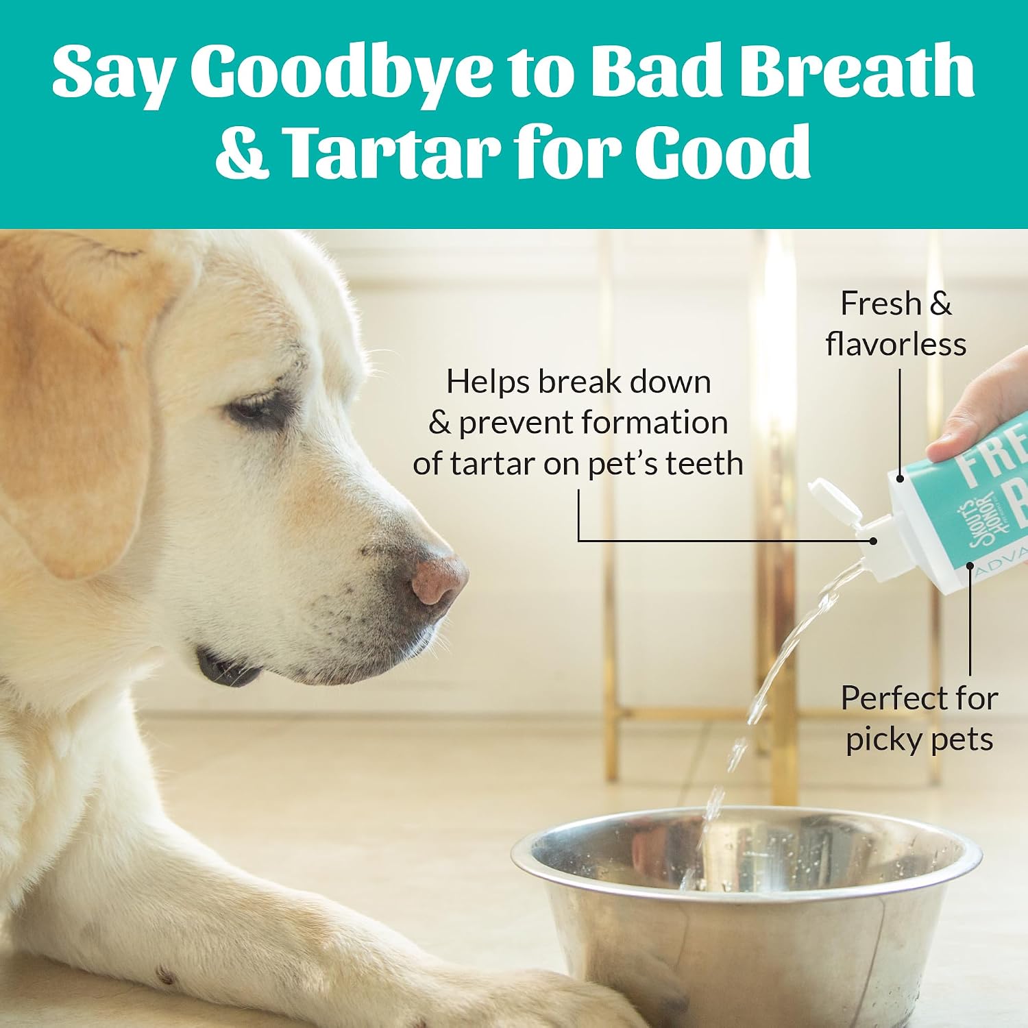 SKOUT'S HONOR Fresher Breath Water Additive for Dogs and Cats, 16 oz
