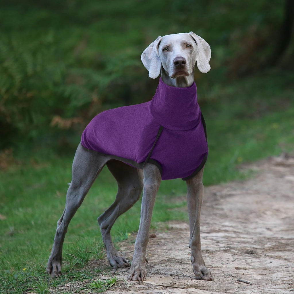 ROZKITCH Dog Sweater S, Warm Turtleneck Shirt for Medium Dogs