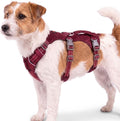 Tuff Pupper Escape Proof Dog Harness for Extra Small Dogs | No Pull Lightweight Adjustable Harness | No Escape Multifunctional Outdoor Pet Gear | Strong Durable Breathable | Secure Comfortable Fit